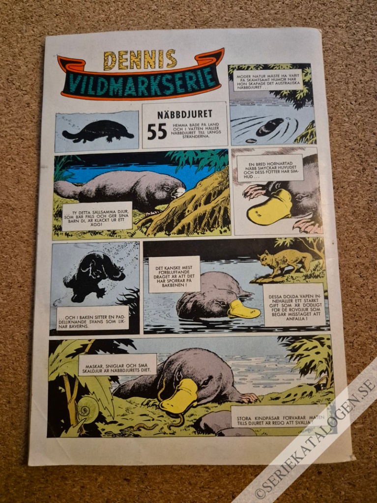 Baksida (1961)