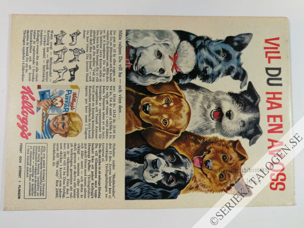 Baksida (1963)
