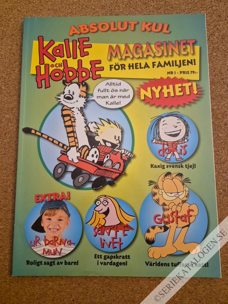 Absolut kul - Magasinet för hela familjen (2013)