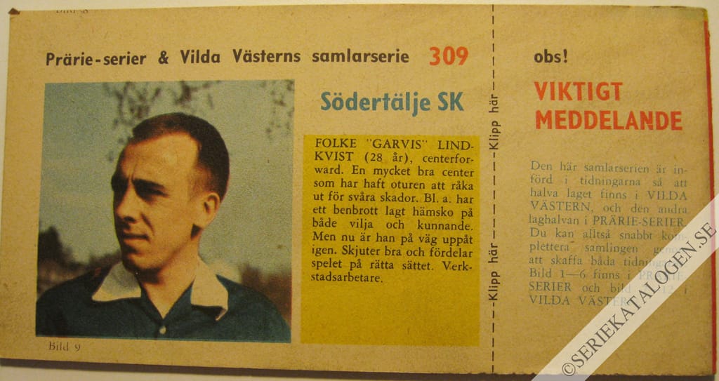Baksida (1960)
