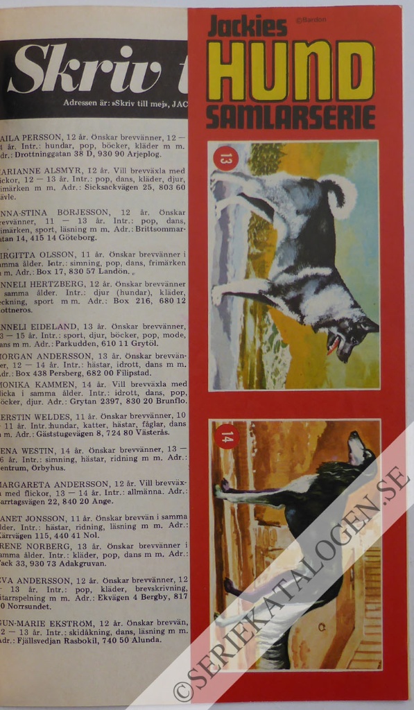 Bild (1971)