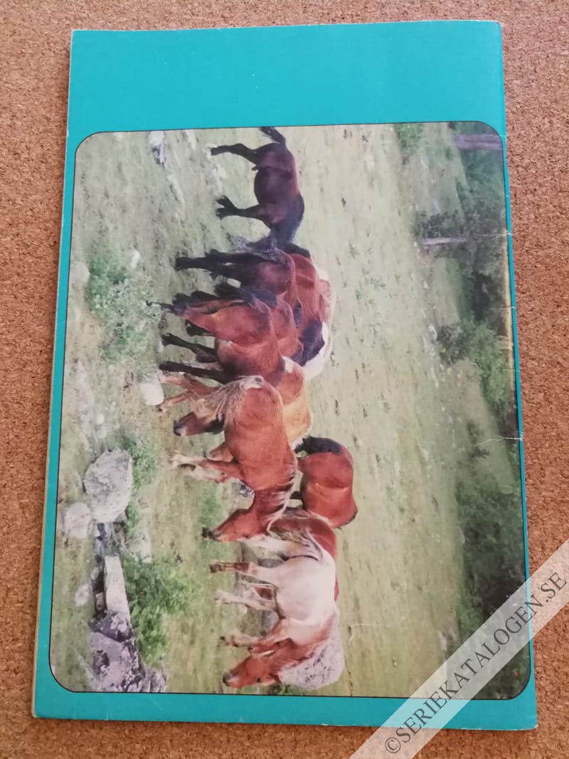 Baksida (1993)