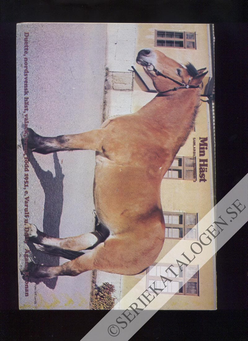 Baksida (1974)