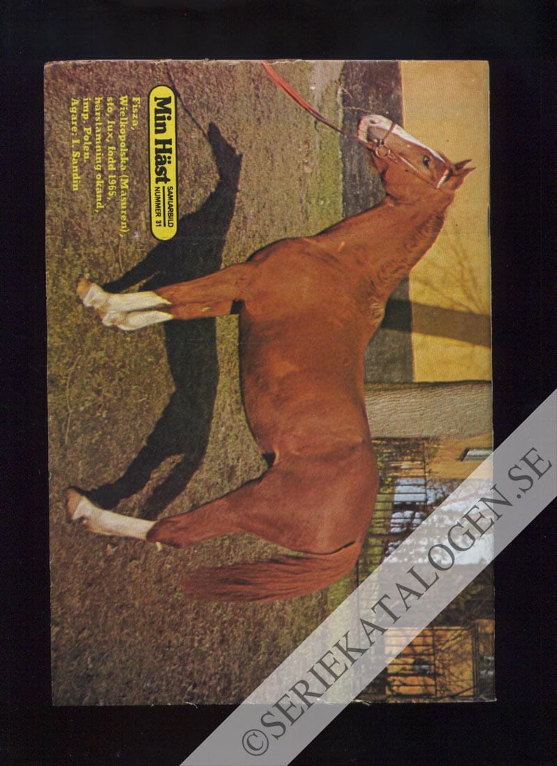 Baksida (1974)