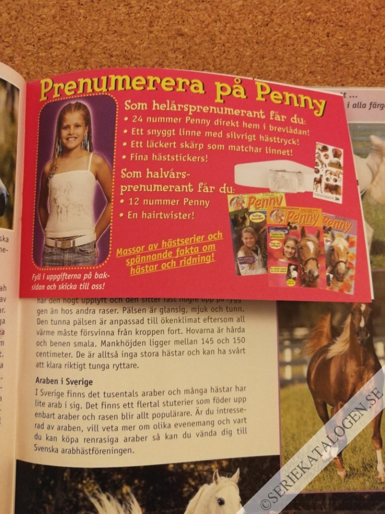 Bild (2005)