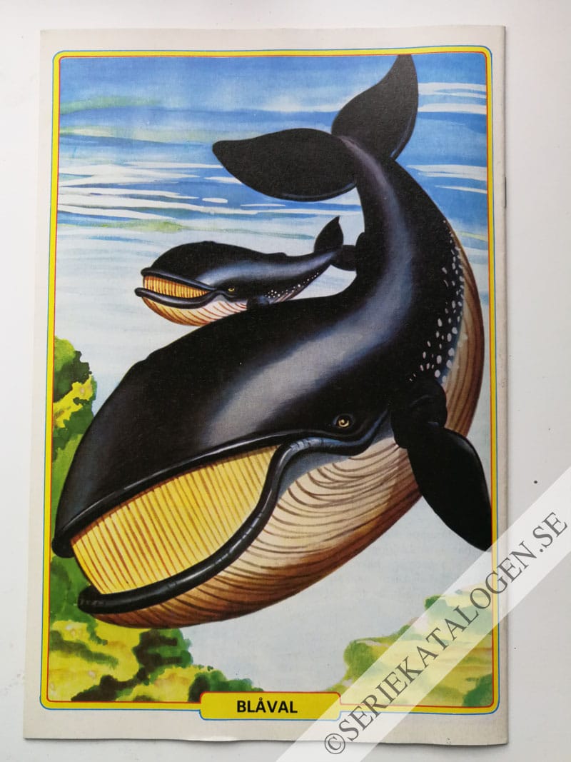 Baksida (1982)