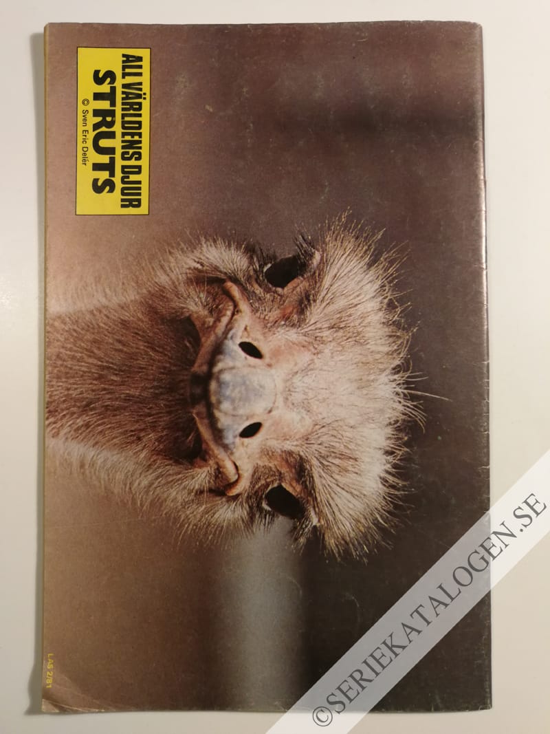 Baksida (1981)