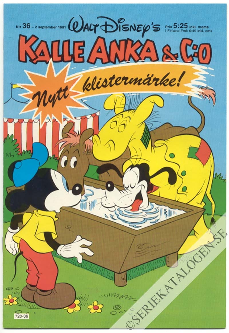 Framsida på Kalle Anka & C:o #36 (1981)