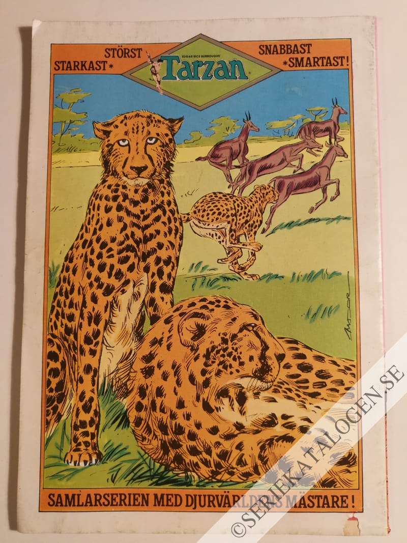 Baksida (1984)