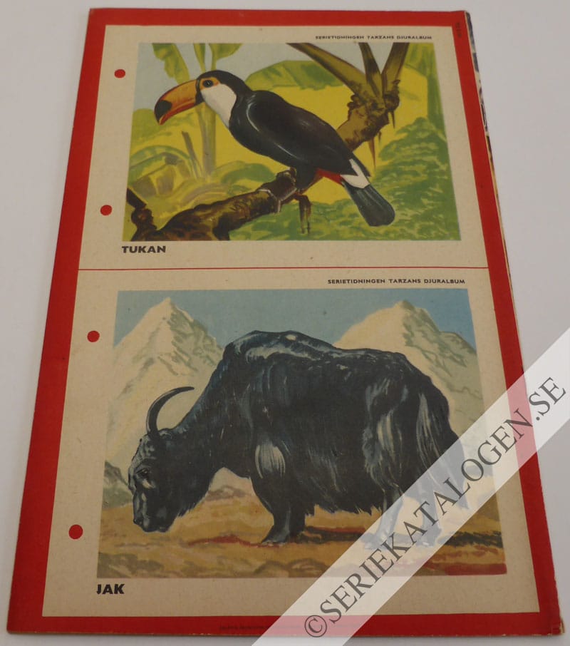 Baksida (1954)