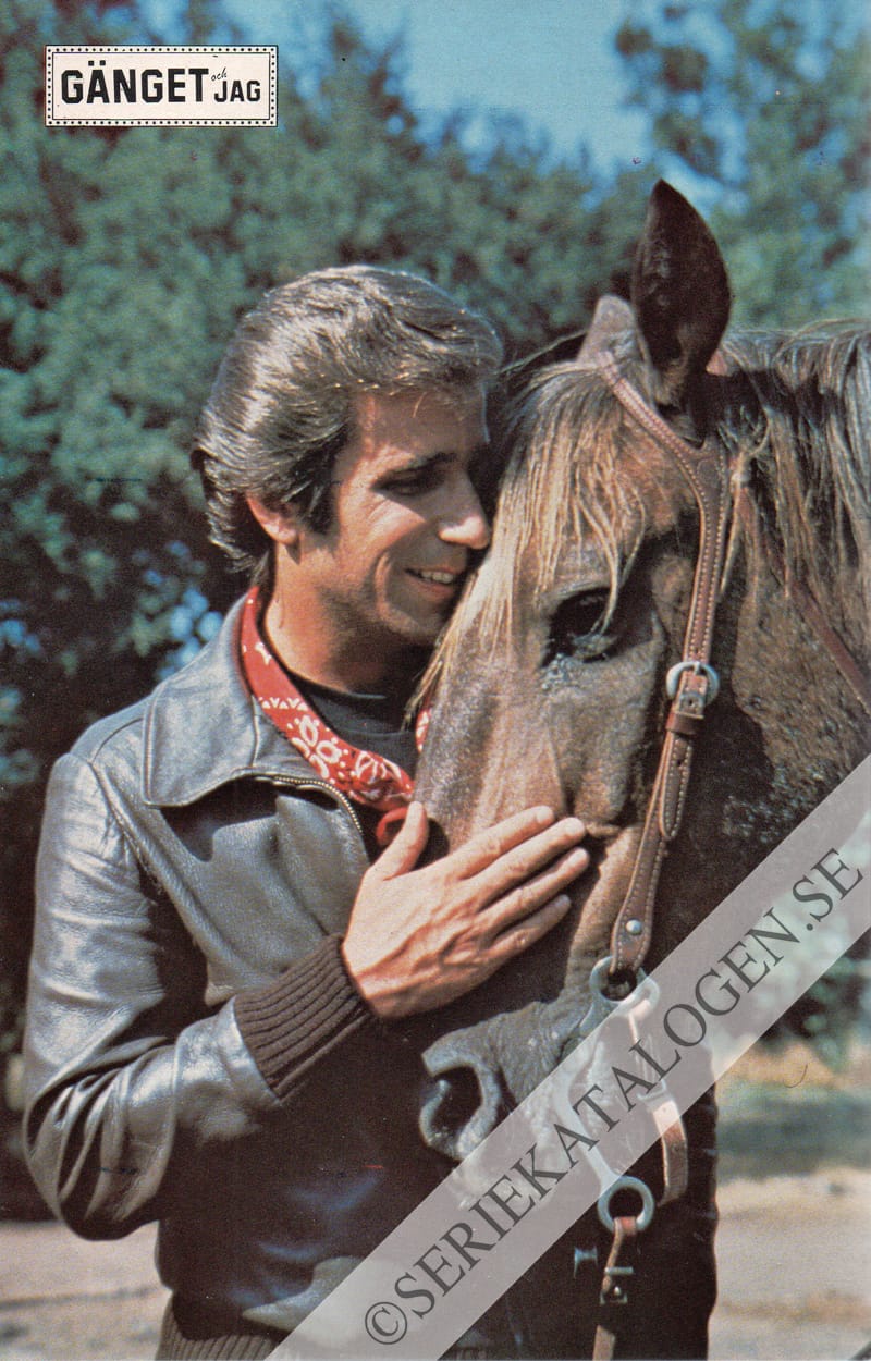 Baksida (1980)