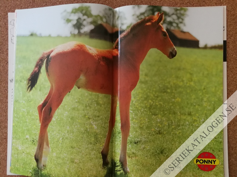 Bild (1992)