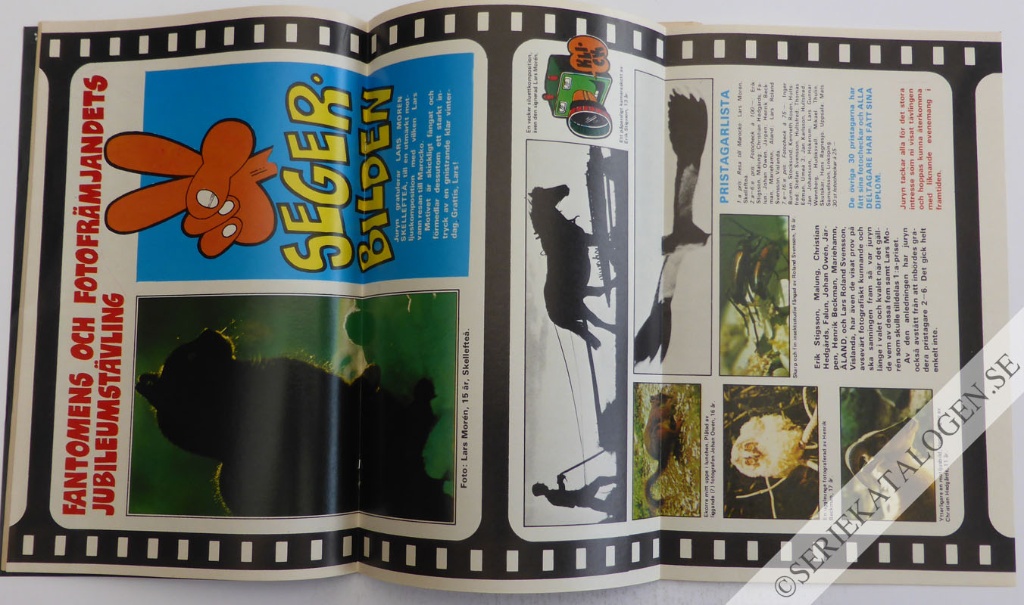 Bild (1975)
