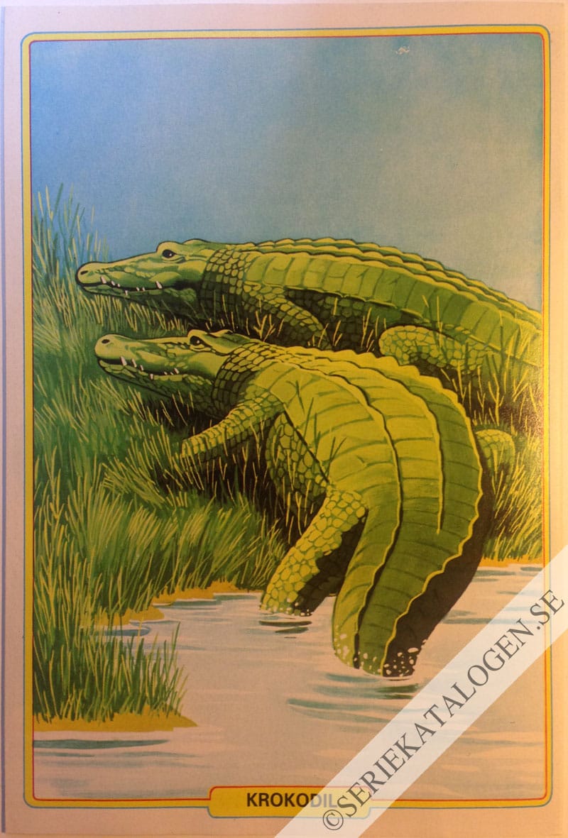 Baksida (1982)