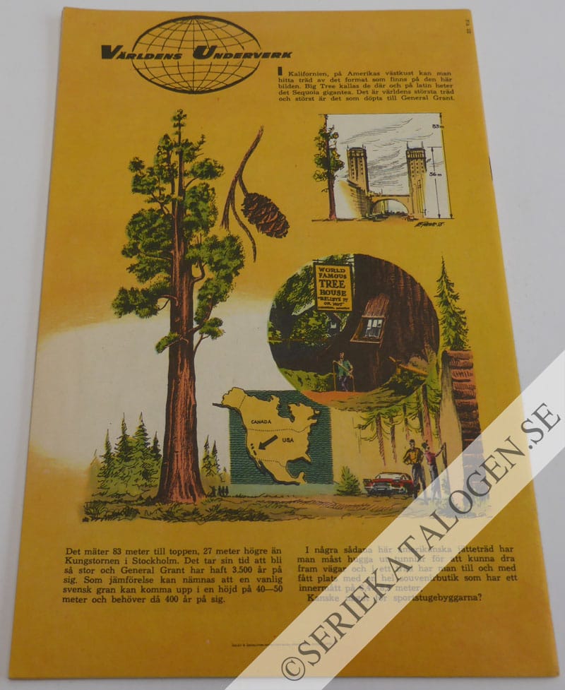 Baksida (1958)