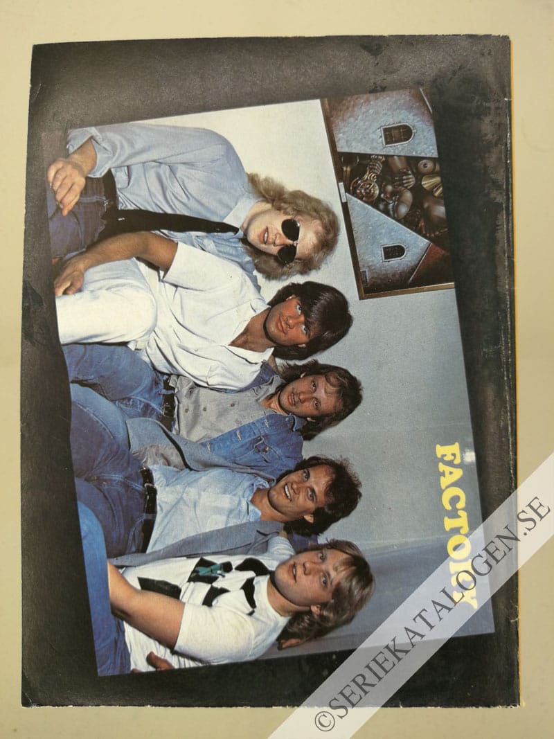 Baksida (1981)