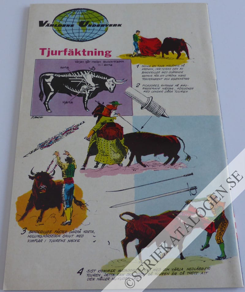 Baksida (1960)