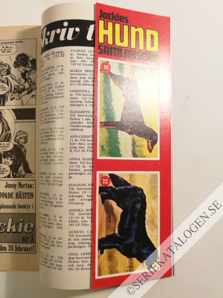 Bild (1972)