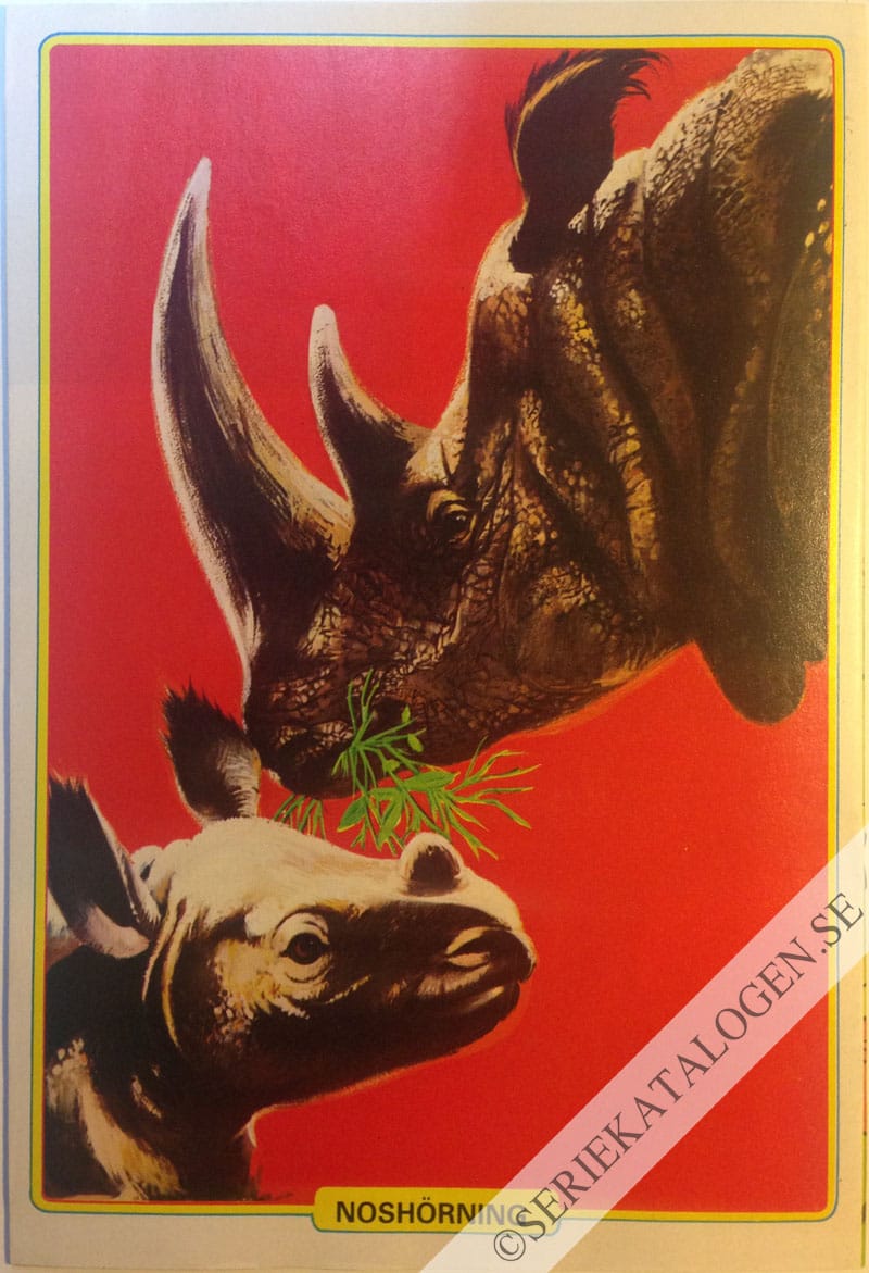 Baksida (1981)