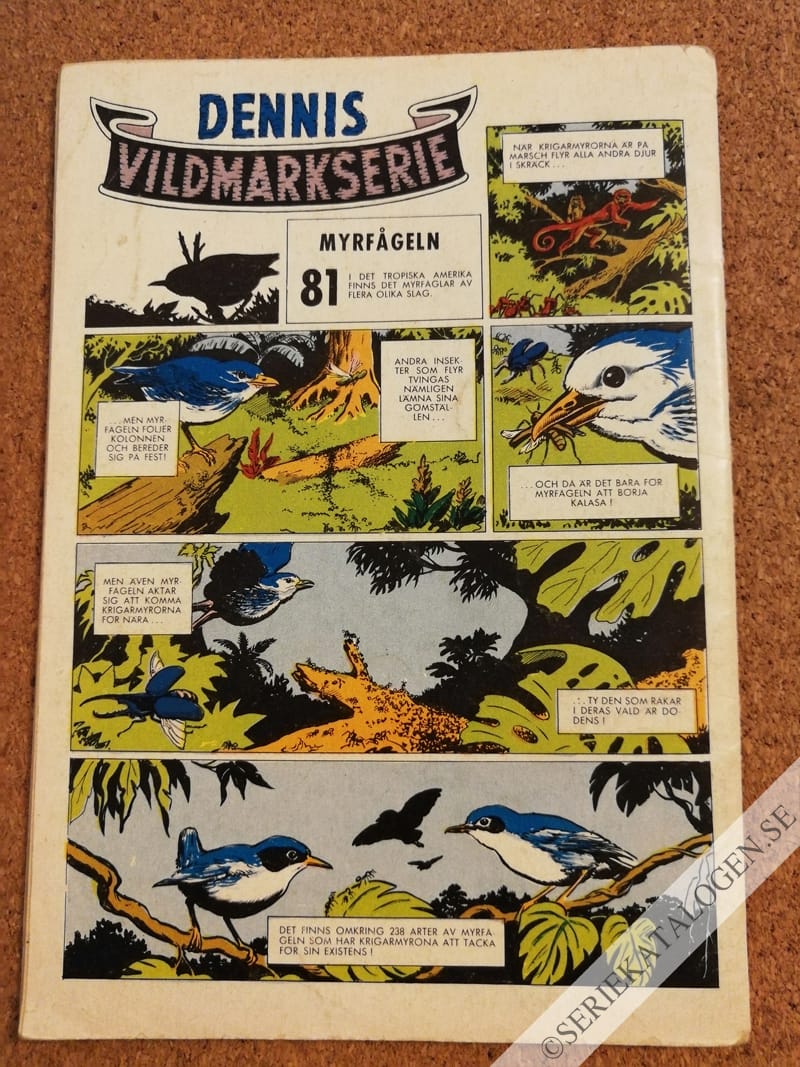Baksida (1962)