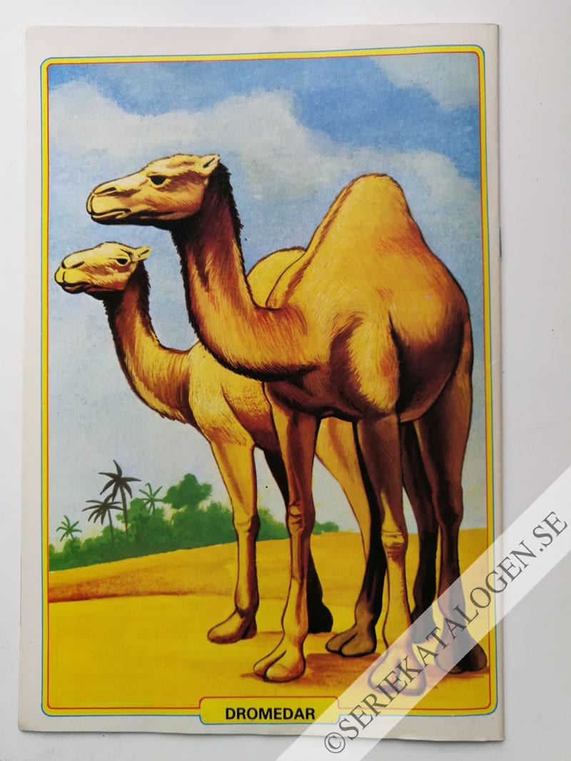 Baksida (1982)