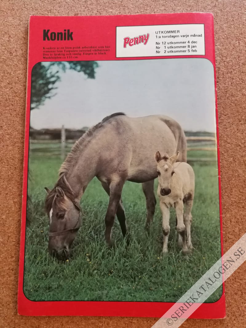 Baksida (1986)