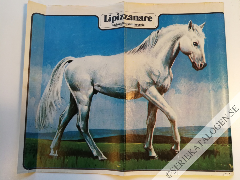 Bild (1972)