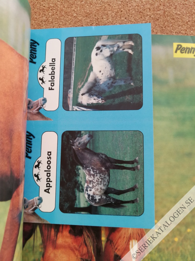 Bild (1991)