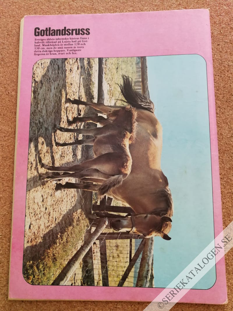 Baksida (1985)