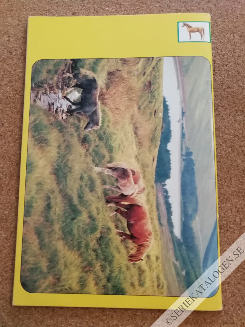 Baksida (1993)