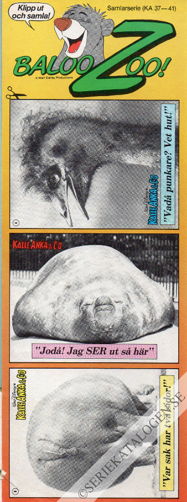 Bild (1985)