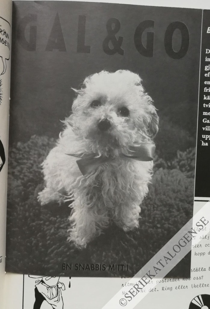 Bild (1991)