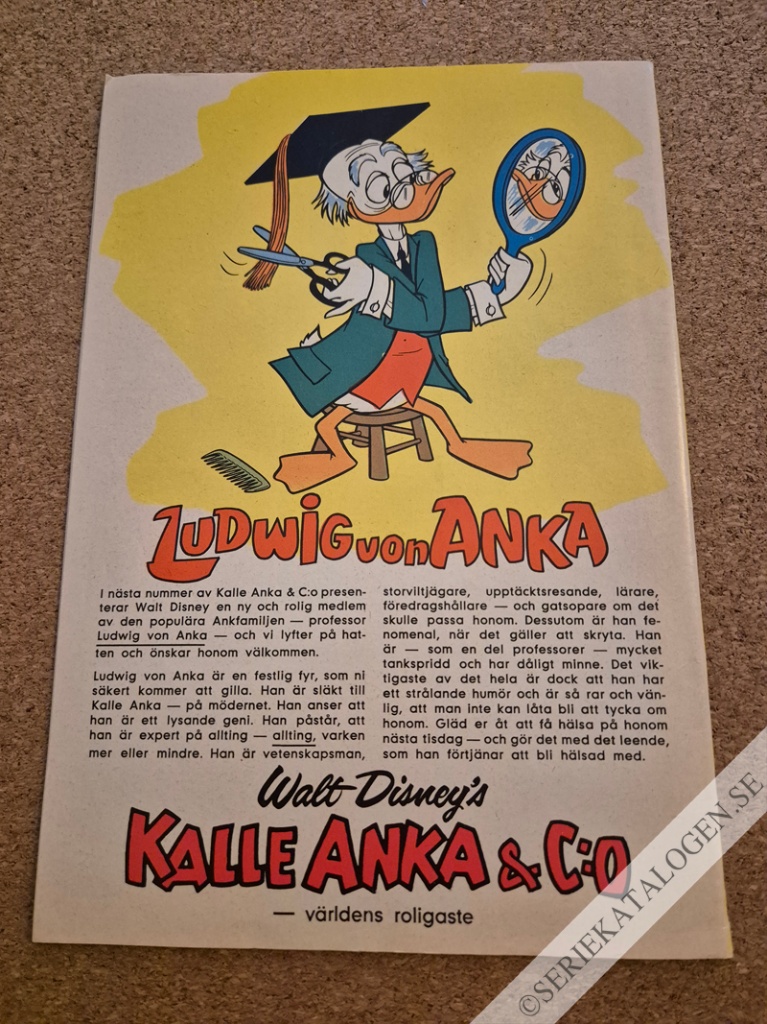 Baksida (1962)