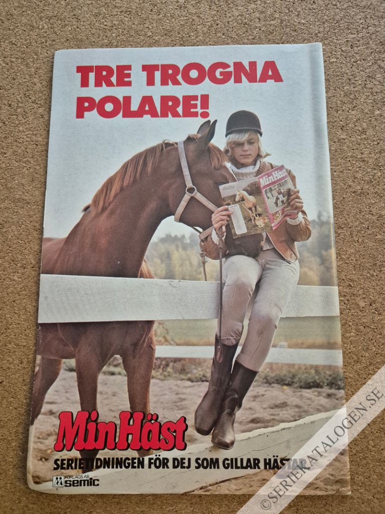 Baksida (1977)