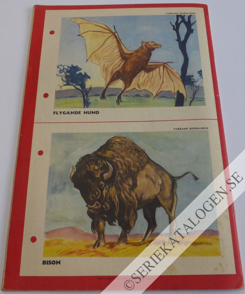 Baksida (1952)
