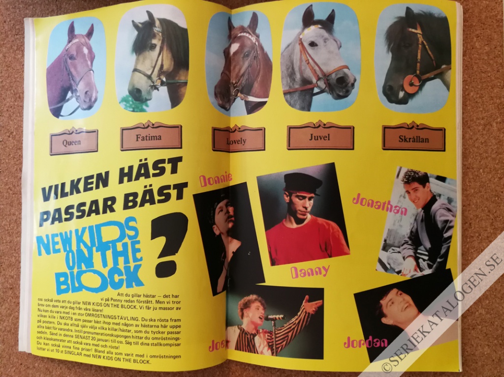 Bild (1991)
