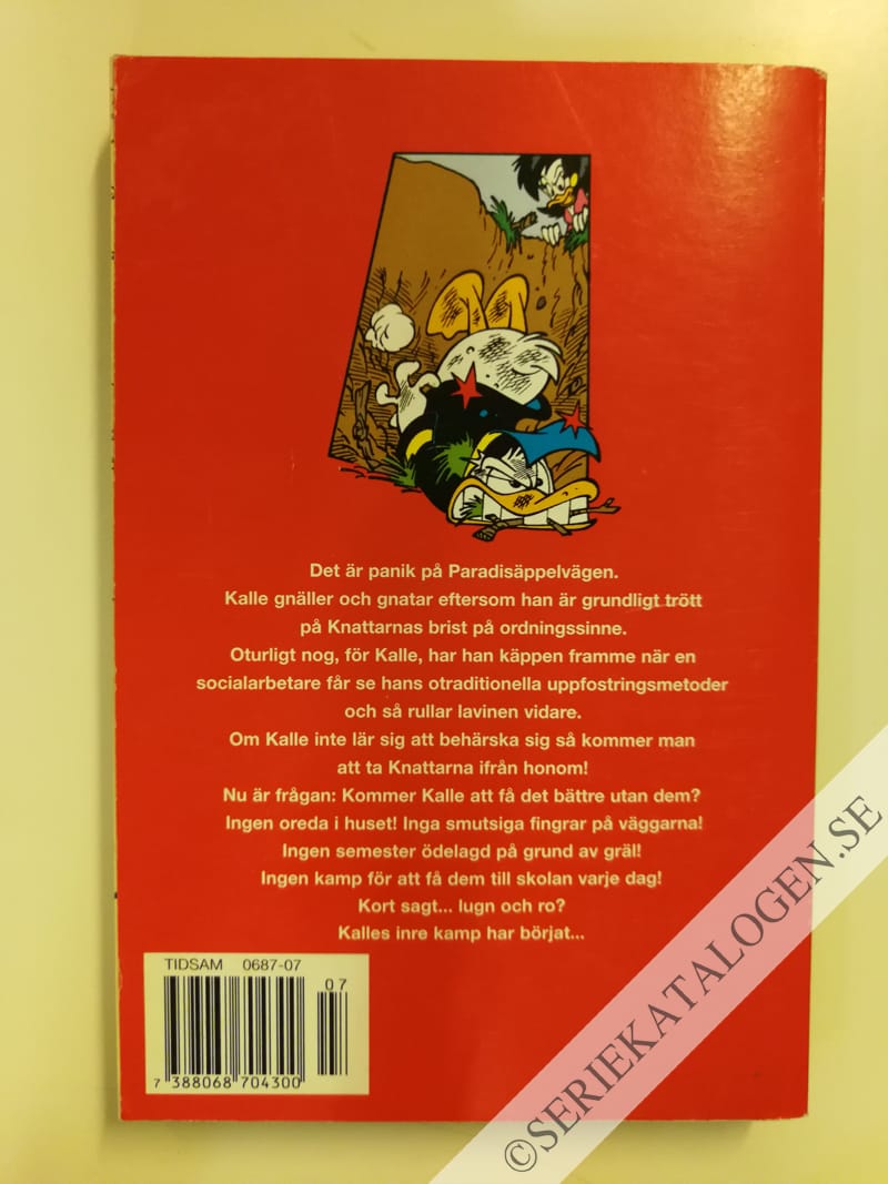 Baksida på Ett föredöme för ungdomen (2003)