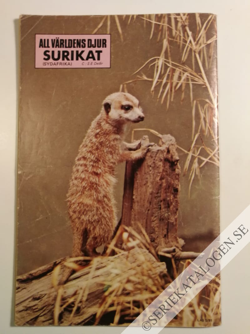 Baksida (1981)