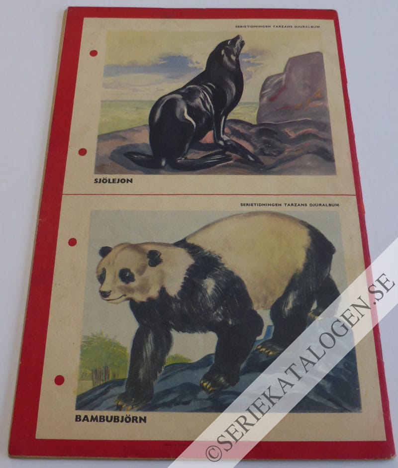 Baksida (1953)
