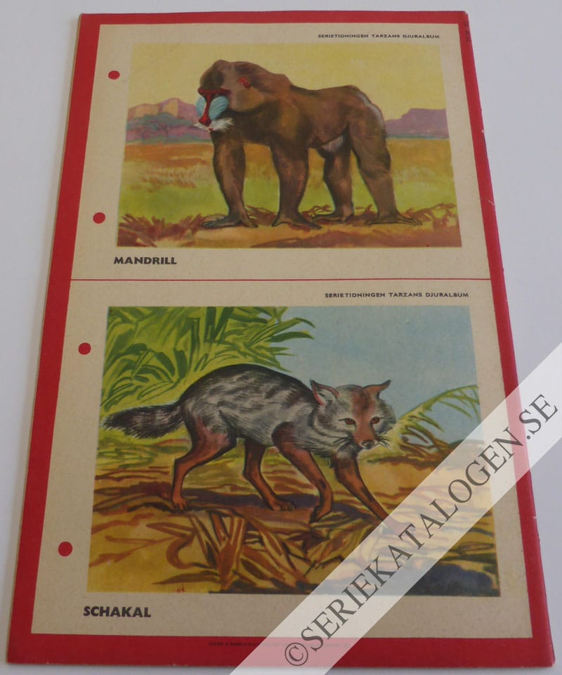 Baksida (1953)