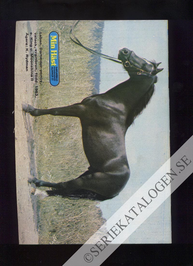 Baksida (1974)