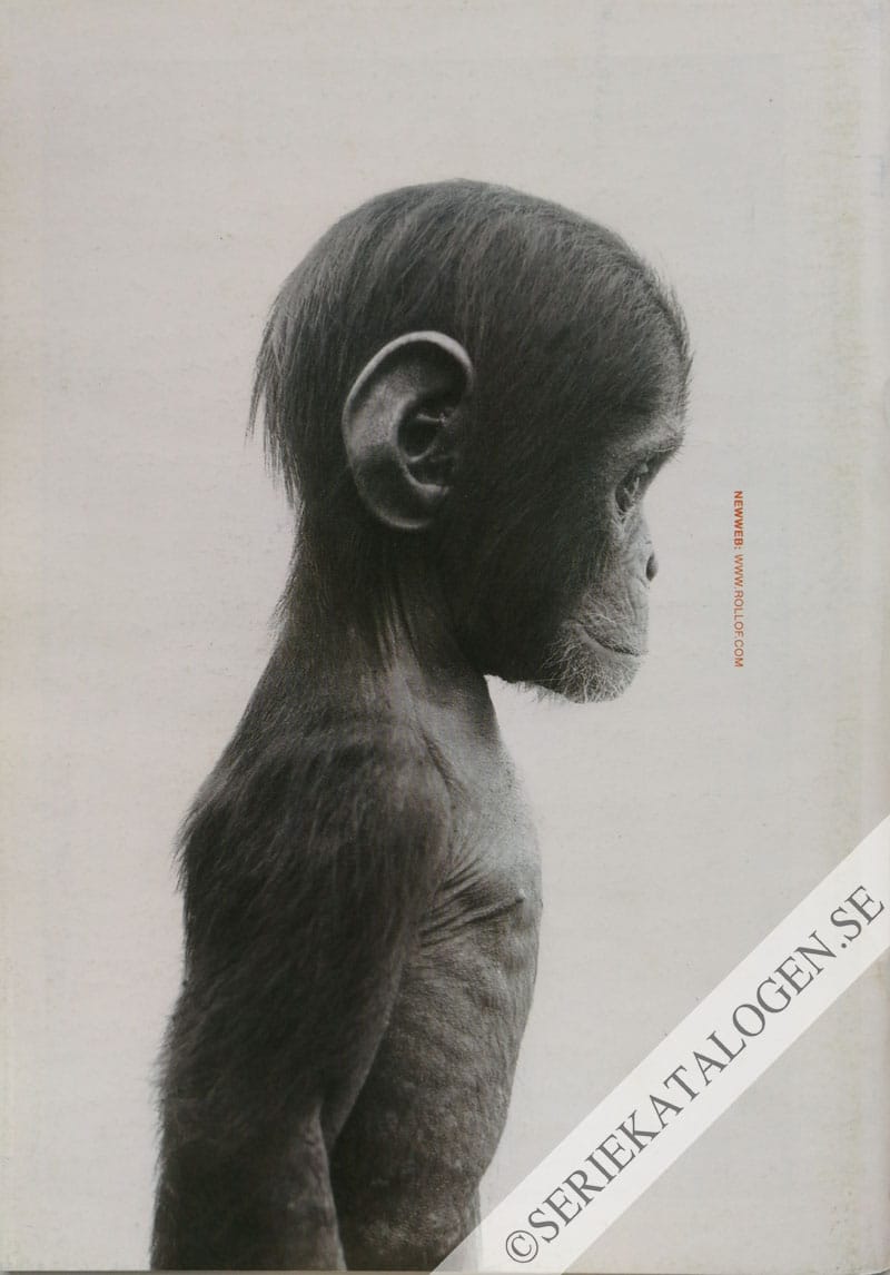 Baksida (2001)