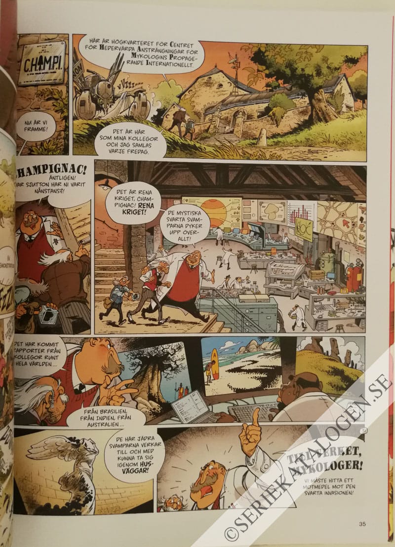 Exempel på Ljuset från Borneo (2018)