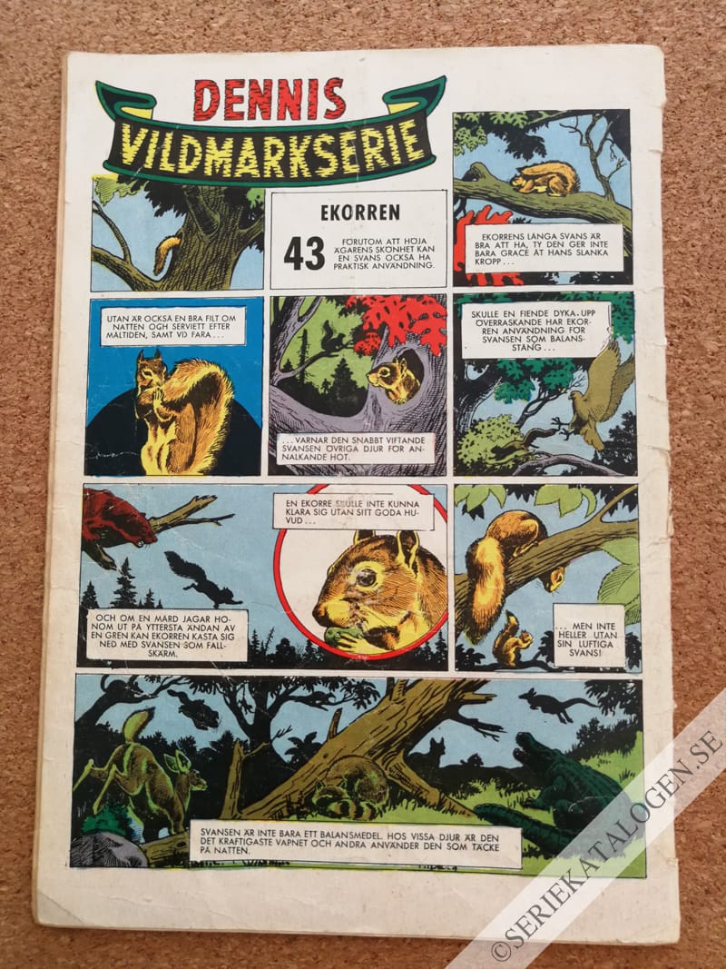 Baksida (1961)