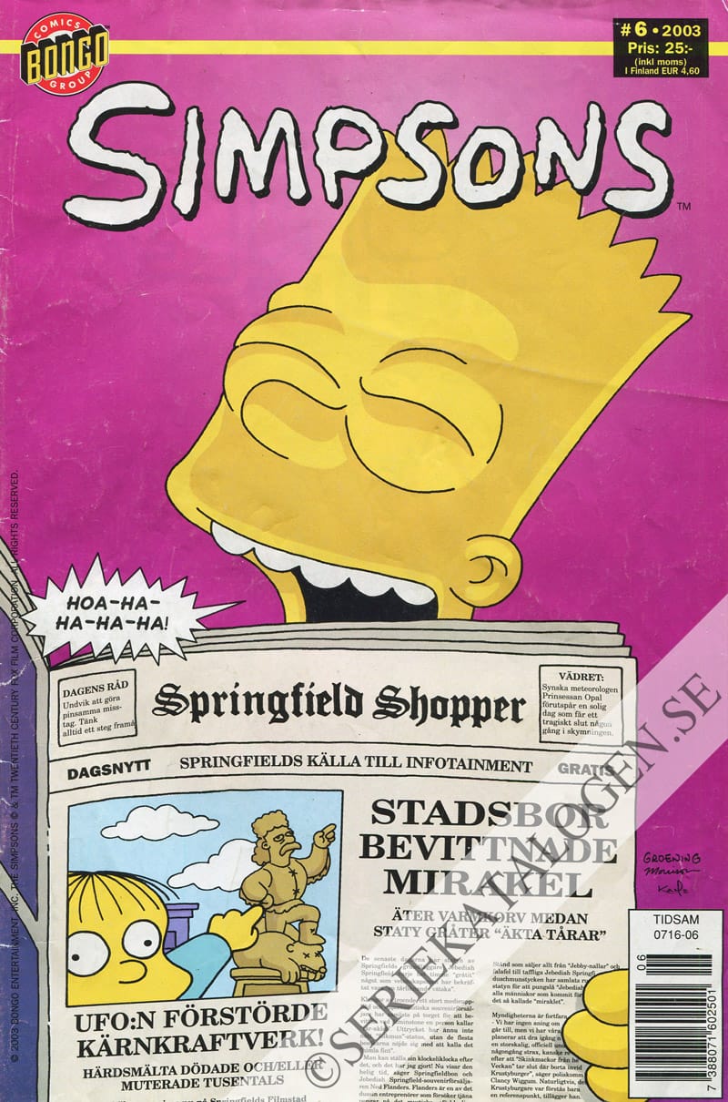 Framsida på Simpsons #6 (2003)