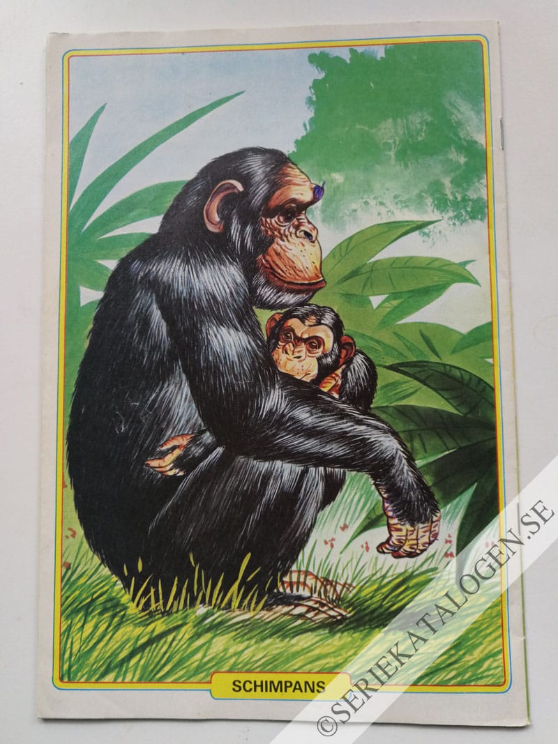 Baksida (1982)