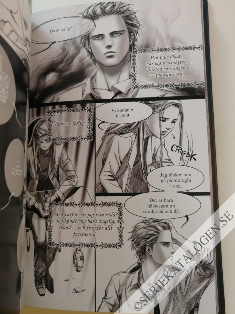Exempel på Den första boken i Twilightsagan som serieberättelse, del 1 (2010)