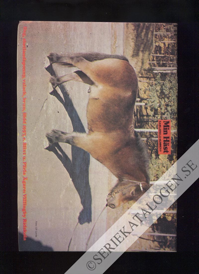 Baksida (1974)