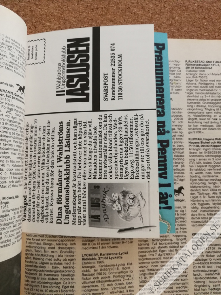 Bild (1991)
