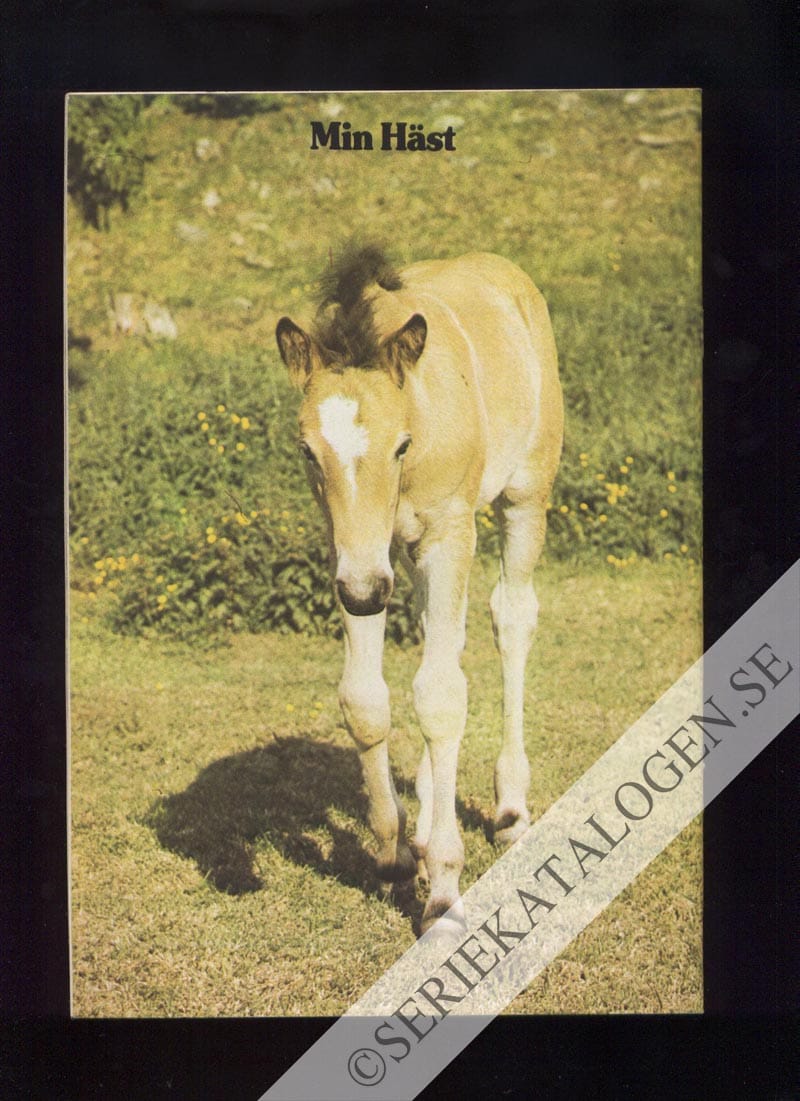 Baksida (1973)